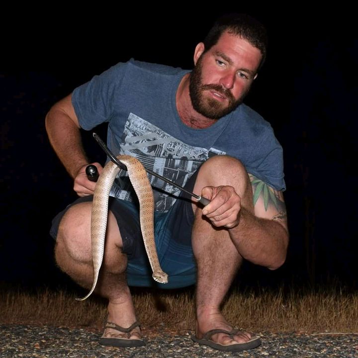 Matt Little