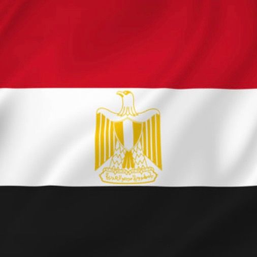 Egypt reels