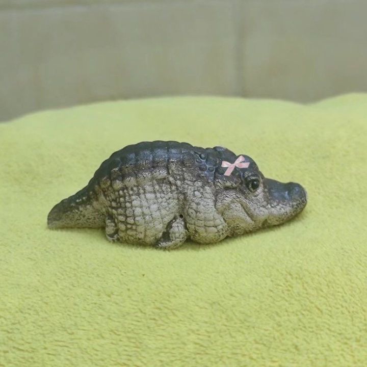 고니