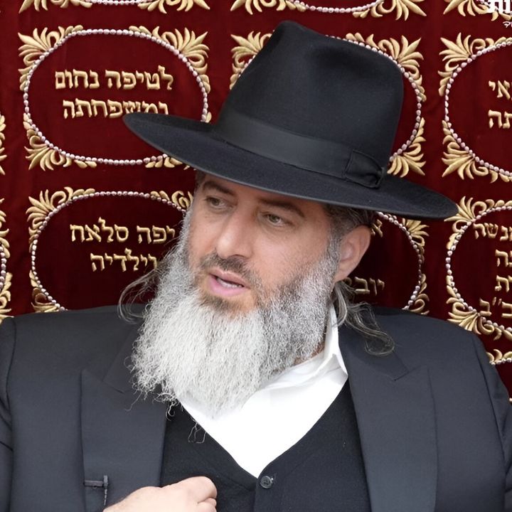 הרב רונן שאולוב שליט״א- טיקטוק