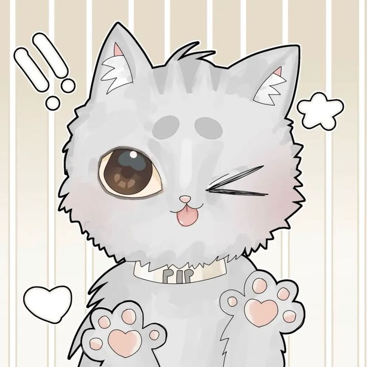 °ʚ 𝑝𝑖𝑝 ɞ°