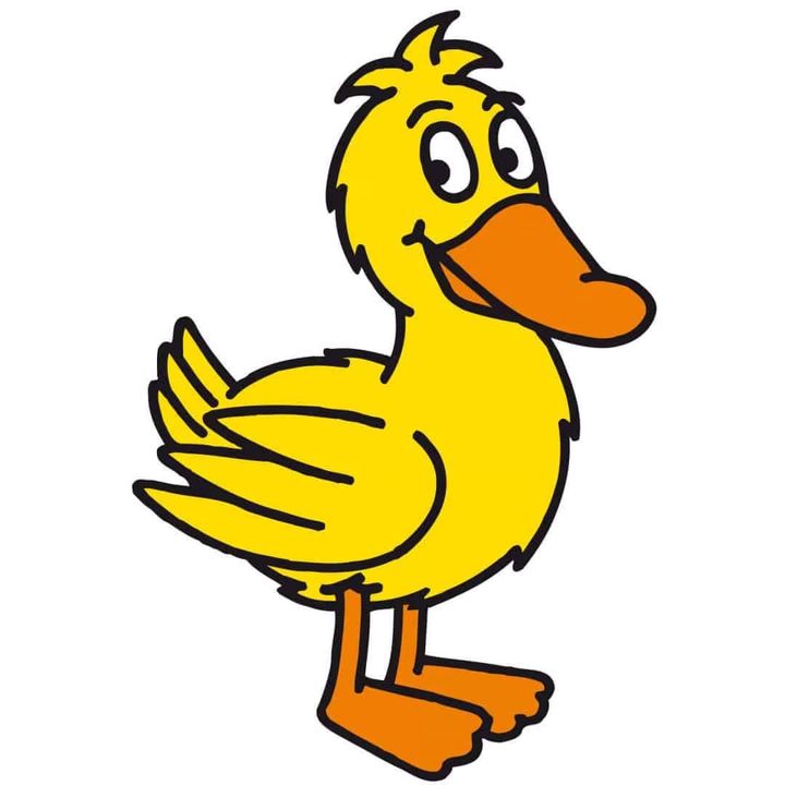 Die TikTok Ente
