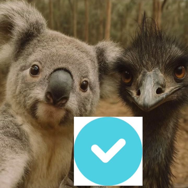 AUSTRALIA 🇦🇺 🦘🌉