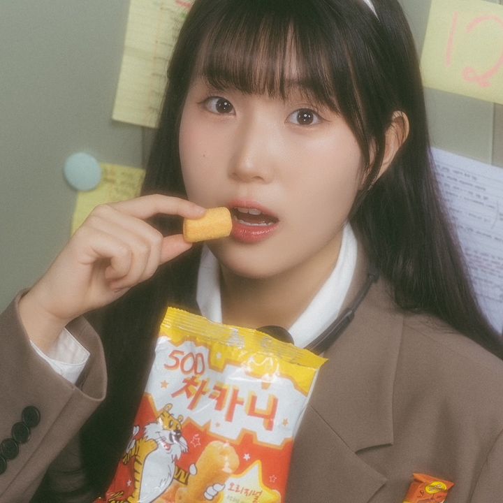 먹콩🍨