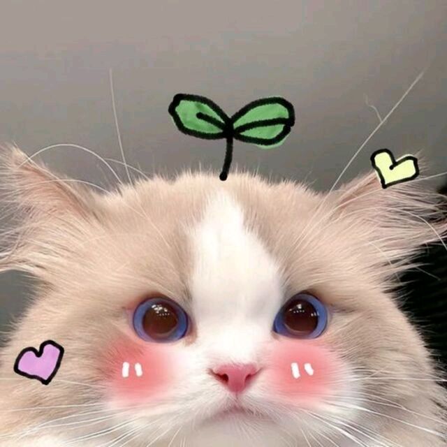 Vân và Kiều ❤️